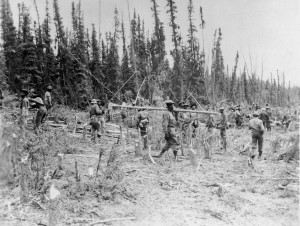 Black soldiers working with handtools clearing path for Alaska Highway. 1942