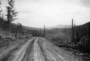 Rough graded tote road from Carcross heading toward Teslin River. 1942