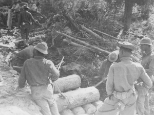 93rd Black Engineers building a culvert along the Alaska Highway. 1942
