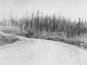 Lt. Dudrow's platoon of black soldiers improved the wagon road (Klondike Highway) out of Carcross toward Whitehorse. 1942
