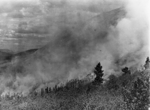 Fire in woods surrounding Teslin Village 93rd Engineers section of the Highway. 1942