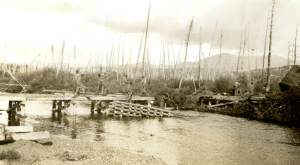 NARA209Apng 770 93rd Engr Building Swift River Bridge
